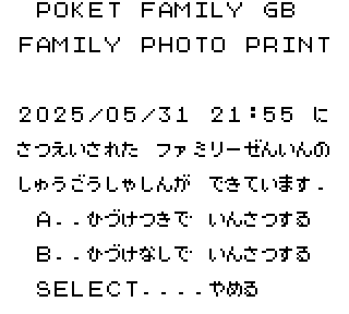 Pocket Family GB - Family Shot DLC