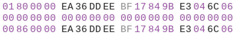 NMP IRQ data in a hex editor