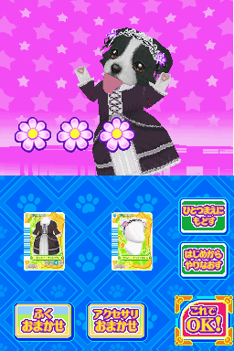 Gothic Lolita Border Collie